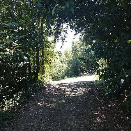 Agroturismo Il Casino Di Remartello