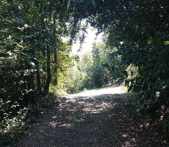 Farm stay Il Casino Di Remartello