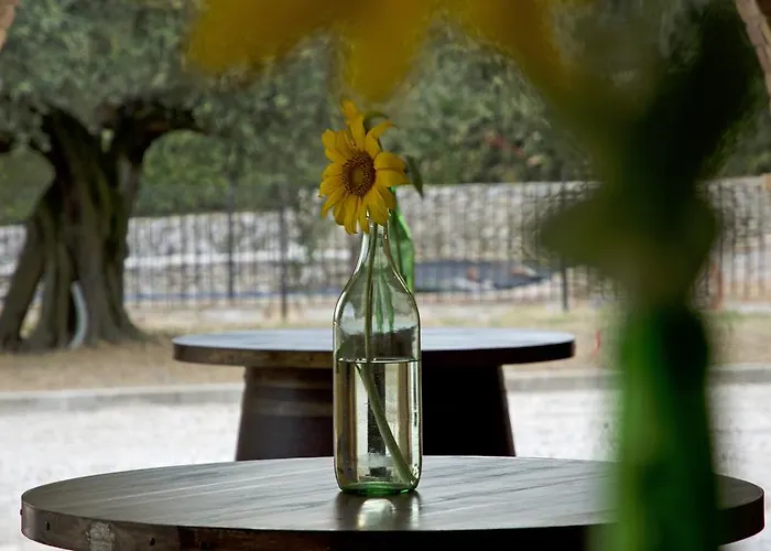 Farm stay Il Casino Di Remartello