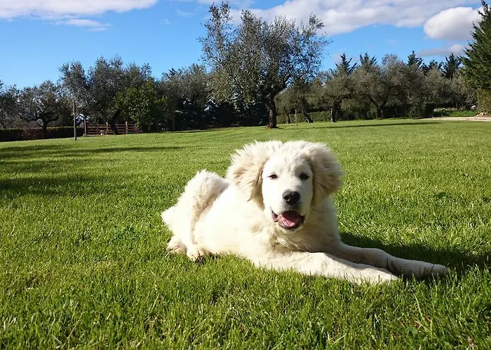 Farm stay Il Casino Di Remartello Loreto Aprutino